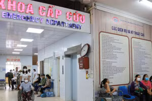 Ảnh minh họa.