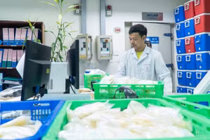 Nhân viên Viện Huyết học-Truyền máu Trung ương chuẩn bị huyết tương để cung cấp cho các cơ sở y tế.
