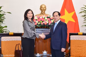 Bộ trưởng Ngoại giao Bùi Thanh Sơn tiếp bà Pauline Tamesis, Điều phối viên thường trú Liên hợp quốc (LHQ) tại Việt Nam. (Ảnh: Báo Quốc tế)