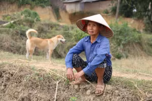 Ảnh: BTC cung cấp.