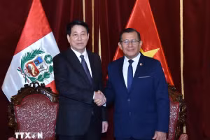 Chủ tịch nước Lương Cường hội kiến Chủ tịch Quốc hội Peru Eduardo Salhuana.