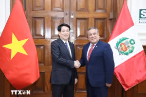 Chủ tịch nước Lương Cường hội kiến Chủ tịch Hội đồng Bộ trưởng Peru Gustavo Adrian Adrianzén.