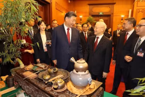 Tổng Bí thư Nguyễn Phú Trọng và Tổng Bí thư, Chủ tịch Trung Quốc Tập Cận Bình nghe giới thiệu về trà. 