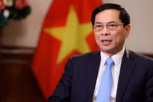 Bộ trưởng Ngoại giao Bùi Thanh Sơn.