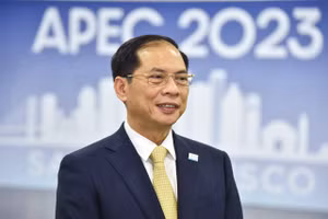 Bộ trưởng Ngoại giao Bùi Thanh Sơn.