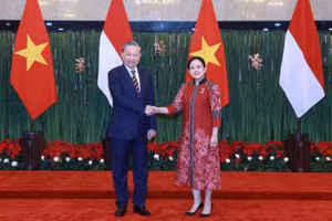 Tổng Bí thư Tô Lâm gặp Chủ tịch Hạ viện Indonesia Puan Maharani. (Ảnh: TTXVN)