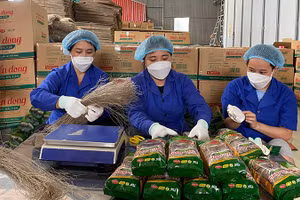 Sản phẩm miến dong của Hợp tác xã Tài Hoan, huyện Na Rì đã đạt chứng nhận 5 sao. (Trong ảnh: Hoạt động chế biến miến tại Hợp tác xã). (Ảnh: THU CÚC)