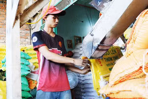 Gallery - Lúa gạo Việt Nam - image 18