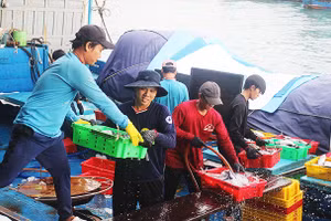 Chuyến bám biển thắng lợi ngày áp Tết.