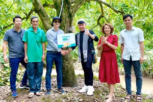 Để đa dạng hóa phương thức quảng bá đặc sản Đồng Tháp, nhà vườn tại đây cho khách hàng "nhận nuôi" cây xoài trong vườn.