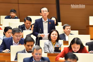 Đại biểu Quốc hội Trần Hoàng Ngân tham gia ý kiến thảo luận về Nghị quyết 30 của Quốc hội trong phiên họp chiều 7/1. (Ảnh: THỦY NGUYÊN)