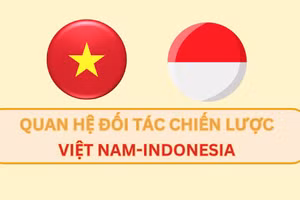 [Infographic] 70 năm phát triển quan hệ hữu nghị và hợp tác Việt Nam-Indonesia 