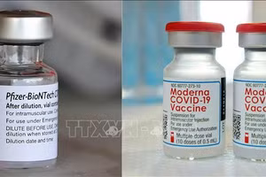 Vaccine ngừa Covid-19 của Moderna và Pfizer/BioNTech. (Ảnh: AFP/TTXVN)