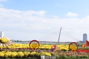 Giọt nhớ thiên thanh với hoa cỏ mùa xuân thành phố.