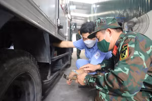 Lực lượng quân đội hỗ trợ công tác đăng kiểm tại Hà Nội.