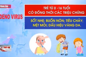 Không hoang mang vì bệnh Adeno virus
