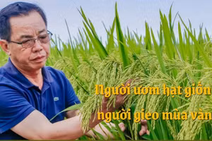 Người ươm hạt giống, người gieo mùa vàng