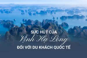 Sức hút của Vịnh Hạ Long đối với du khách quốc tế
