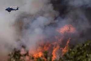 Đám cháy Oak tại California, Mỹ, ngày 24/7/2022. (Ảnh: Reuters)