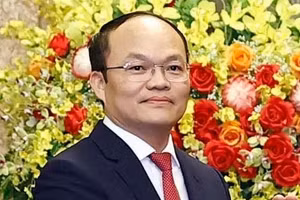 Đại sứ Đoàn Thanh Song. (Ảnh: TTXVN)