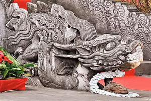 Đôi rồng đá trước thềm điện Kính Thiên trong Hoàng thành Thăng Long, TP Hà Nội. (Ảnh: TRẦN THANH GIANG)