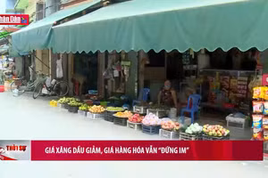 Gallery - Giá xăng giảm, giá hàng hoá dịch vụ vẫn cao - image 2