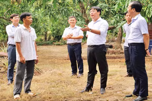 Bí thư Tỉnh ủy Đồng Tháp Lê Quốc Phong tham quan mô hình Cây xoài nhà tôi tại phường 6, thành phố Cao Lãnh, tỉnh Đồng Tháp