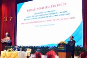 [Ảnh] Phiên họp toàn thể về xây dựng và phát triển ngành ngoại giao 
