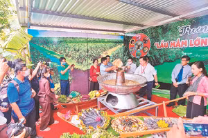 Du lịch Cà Mau có sự khởi sắc rõ rệt trong năm 2022 .