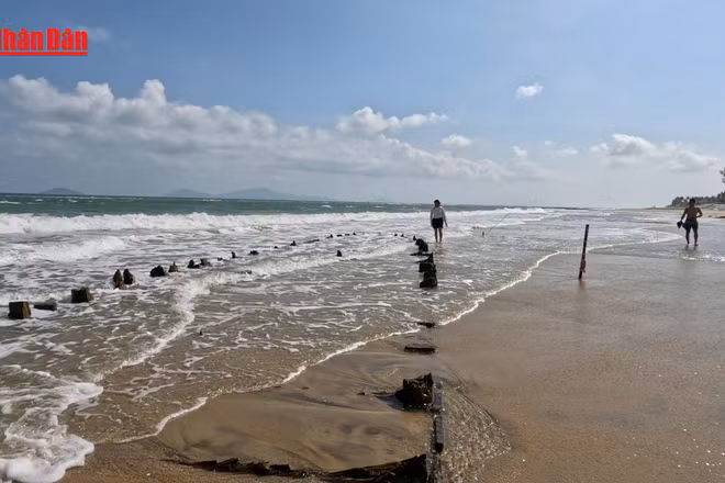 [Video] Đà Nẵng: Mục sở thị "báu vật" lộ diện trên biển An Bàng 