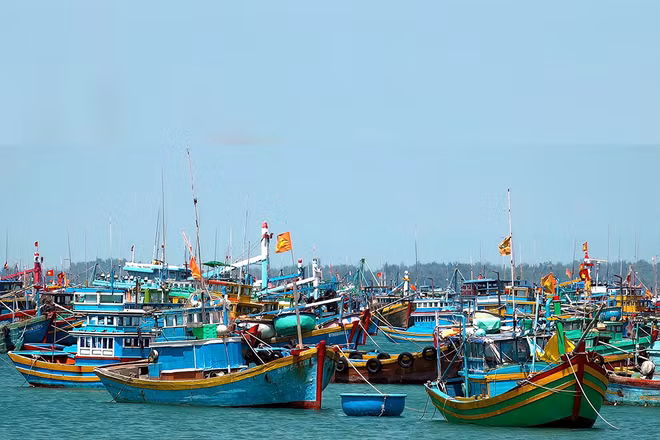 Bản tin thời sự sáng 26/2/2026: Thanh tra EC sắp vào Việt Nam kiểm tra IUU lần thứ 5
