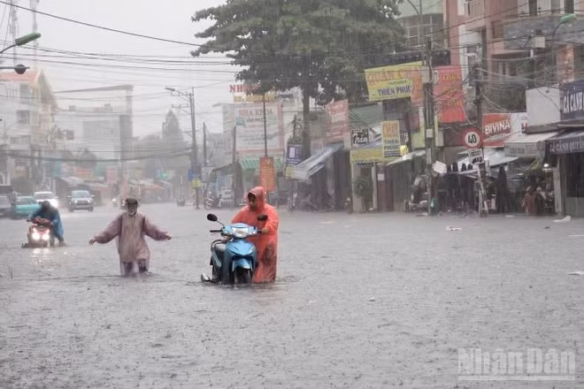 Khánh Hòa dự báo có mưa lớn kéo dài, có nơi cục bộ hơn 200mm. (Ảnh: VŨ TÂN)