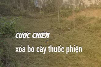 Những ngày trong rừng, thành viên Đoàn công tác 06 liên tục phải leo ngược dốc để lên trên cao quan sát khu vực nghi có tái trồng cây thuốc phiện.
