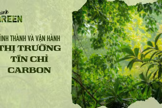 Hình thành và vận hành thị trường tín chỉ carbon