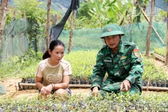 Bộ đội Biên phòng Tổ công tác Rào Tre hướng dẫn bà con dân tộc Chứt quy trình trồng, chăm sóc dó trầm.