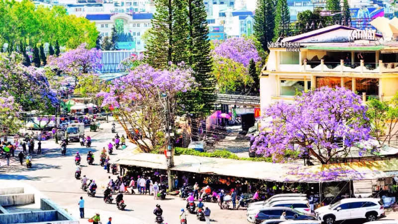 duong-2770.jpg