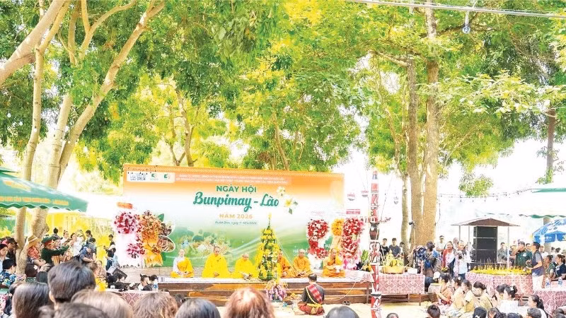 dong-2566.jpg
