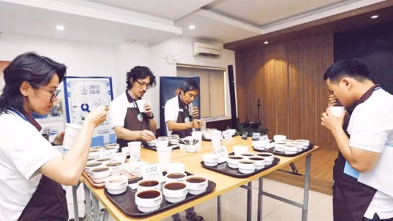 Các giám khảo cuộc thi, làm việc ở vòng nếm cà-phê.