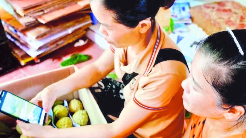 Nông dân Lạng Sơn bán na qua sàn thương mại điện tử.