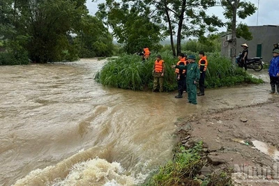 Bộ Nông nghiệp và Môi trường yêu cầu các địa phương khẩn trương hộ đê, xử lý sự cố, bảo đảm an toàn hệ thống đê điều trong mùa mưa lũ. (Ảnh: nhandan.vn)