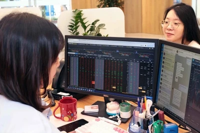 Ảnh minh họa: TTXVN