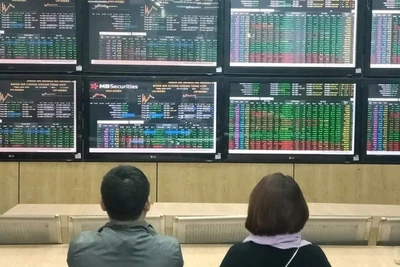 Ảnh minh họa. (Nguồn: TTXVN)