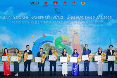 Đại diện Vinamilk (thứ 7 từ trái sang) nhận vinh danh tại Lễ công bố Doanh nghiệp Bền vững Việt Nam (CSI) 2025. (Ảnh: BTC)