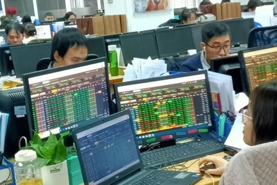 Ảnh minh họa. (Nguồn: TTXVN)