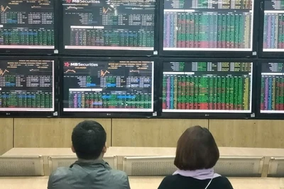 Ảnh minh họa. (Nguồn: TTXVN)