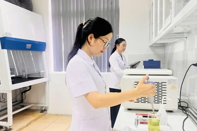 Nghiên cứu quy trình nano hóa hoạt chất Dihydroquercetin chiết xuất từ cây tùng đỏ. (Ảnh: MAI TÙNG)