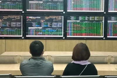 Ảnh minh họa. (Nguồn: TTXVN)