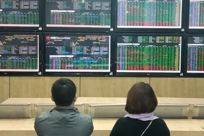 Ảnh minh họa. (Nguồn: TTXVN)