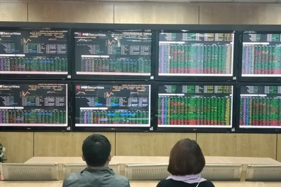 Ảnh minh họa. (Nguồn: TTXVN)