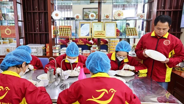 Ảnh minh họa: Một cơ sở sản xuất tư nhân (sản xuất sản phẩm Yến sào) ở tỉnh Nam Định.